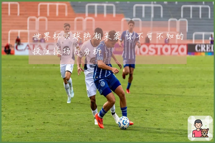 世界杯买球热潮来袭 你不可不知的投注技巧与分析