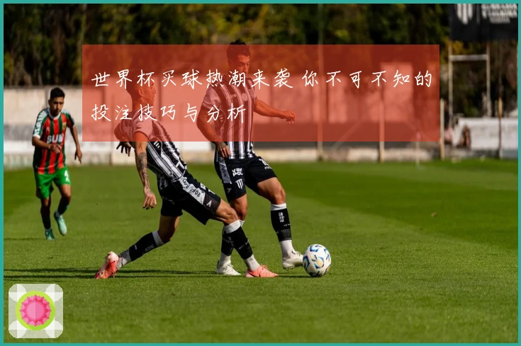 世界杯买球热潮来袭 你不可不知的投注技巧与分析