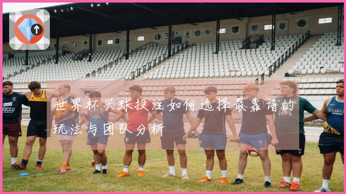 世界杯买球投注如何选择最靠谱的玩法与团队分析