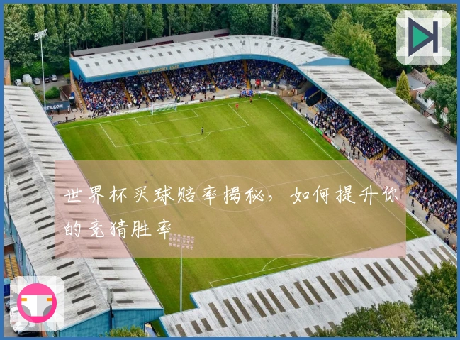 世界杯买球赔率揭秘，如何提升你的竞猜胜率