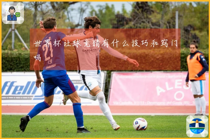 世界杯让球竞猜有什么技巧和窍门吗