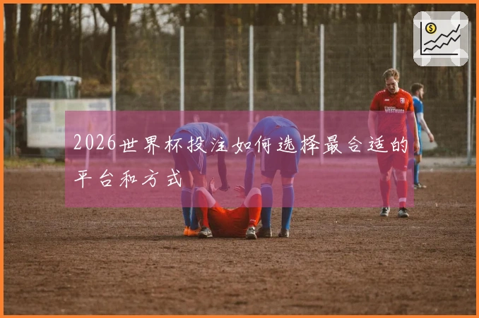 2026世界杯投注如何选择最合适的平台和方式