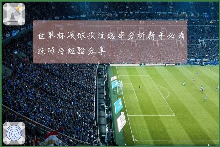 世界杯滚球投注赔率分析新手必看技巧与经验分享