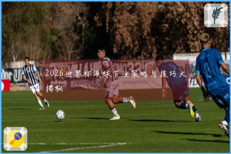 2026世界杯滚球下注策略与技巧大揭秘