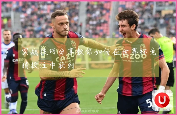 实战技巧分享教你如何在世界杯竞猜投注中获利