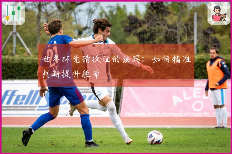 世界杯竞猜投注的诀窍：如何精准判断提升胜率
