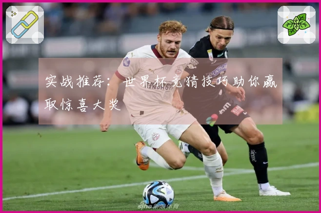 实战推荐：世界杯竞猜技巧助你赢取惊喜大奖